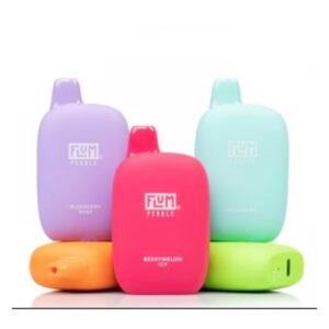 Flum Pebble Rechargeable Disposable 6000 Puffs