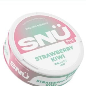SNU Strawberry Kiwi Nic Pouches by Bar Juice